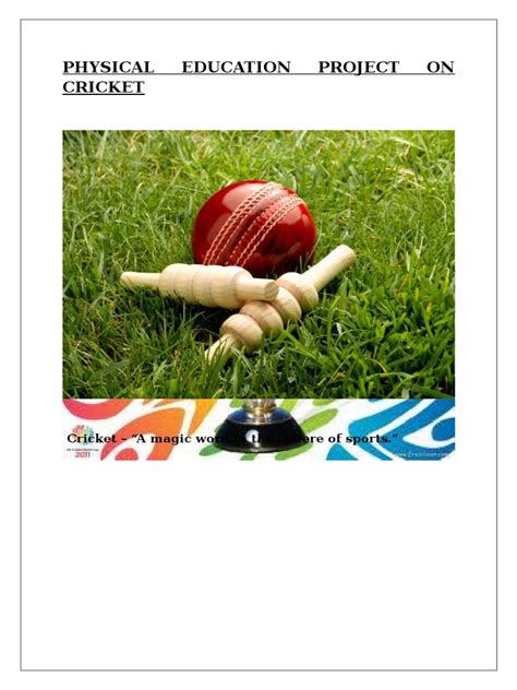 physical education project on cricket ppt|Download Physical Education Project On Cricket .